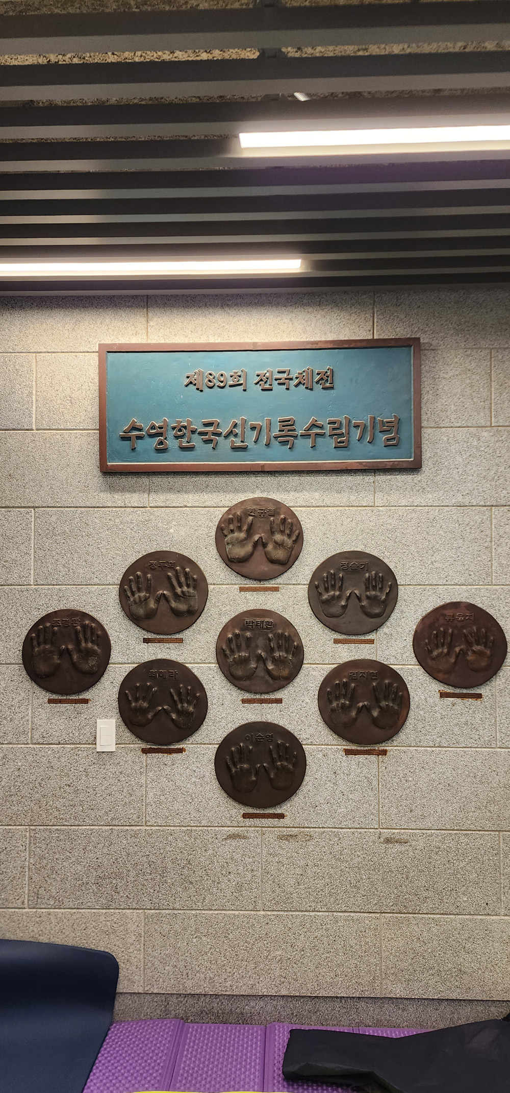 제72회 회장배 전국수영대회